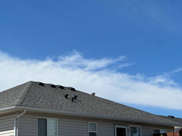 Best Commercial Roofing Services  in Clifton, CO